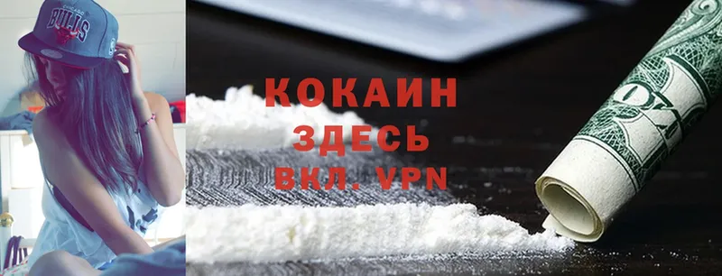 дарнет шоп  Железногорск-Илимский  Cocaine Колумбийский 